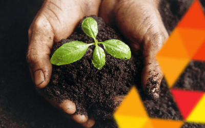 Sustentabilidade desde o plantio.